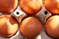 Fresh farm eggs in the cardboard boxes for storing eggs. Packaging for chicken made of recycled waste paper Royalty Free Stock Photo