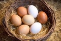 fresh farm eggs displayed in straw baskets