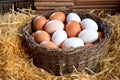 fresh farm eggs displayed in straw baskets