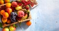 Fresh farm fruits in a wooden box. Apples, berries, grapes, apricots. View from above. Free space for your text Royalty Free Stock Photo