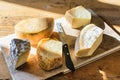 Fresh farm homemade delicious cheese selection on wooden rustic board