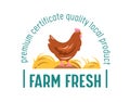 Fresh Farm Local Products, Farmer Market Food Banner with Chicken. Ecological Natural Organic Production Advertising