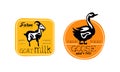 Fresh Farm Products Logo Design Templates Set, Organic Meat, Goat Milk Retro Labels, Farm Market, Butchery Shop Badges