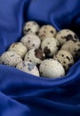 Fresh farm quail eggs on blue sateen cloth