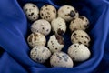 Fresh farm quail eggs on blue sateen cloth