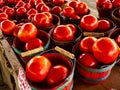 Fresh Farm Tomatoes By The Basket Full Royalty Free Stock Photo