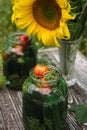 Fresh farm tomatoes in a clay pot, cucumbers in a jar, chili peppers, sunflower flowers, currant leaves, dill umbrellas on a brown Royalty Free Stock Photo