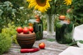 Fresh farm tomatoes in a clay pot, cucumbers in a jar, sunflower flowers, chili peppers, garlic, currant leaves, dill umbrellas on