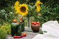 Fresh farm tomatoes in a clay pot, cucumbers in a jar, sunflower flowers, chili peppers, garlic, currant leaves, dill umbrellas on