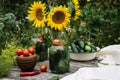 Fresh farm tomatoes in a clay pot, cucumbers in a jar, sunflower flowers, chili peppers, garlic, currant leaves, dill umbrellas on