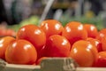 farm tomatoes in the supermarket Royalty Free Stock Photo