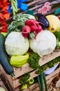 Fresh farm vegetables close-up. Radish, cabbage, pepper Royalty Free Stock Photo