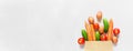 Fresh farm vegetarian and vegan vegetables in paper bag on white background. Healthy food supermarket banner. Copy space Royalty Free Stock Photo
