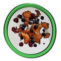 Fresh farmer`s cheese, curd cheese, tvorog, quark or ricotta with fresh berries in green bowl.