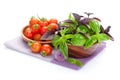 Fresh farmers tomatoes and basil Royalty Free Stock Photo