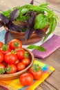 Fresh farmers tomatoes and basil Royalty Free Stock Photo