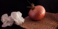 Fresh farming produce onion kept with white flowers in brown mat black background Royalty Free Stock Photo