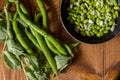 Fresh fava beans. The broad bean is a species of flowering plant in the Fabaceae family of peas and beans. In young plants the Royalty Free Stock Photo