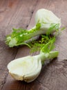 Fresh fennel Royalty Free Stock Photo