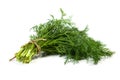 Fresh fennel Royalty Free Stock Photo