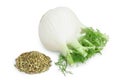 fresh fennel bulb with seed isolated on white background with clipping path and full depth of field Royalty Free Stock Photo