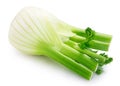 Fresh fennel bulb on white background