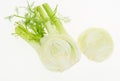 Fresh fennel cut in two, isolated on white Royalty Free Stock Photo