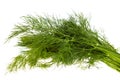 Fresh fennel isolated Royalty Free Stock Photo