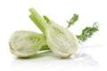 Fresh Fennel Royalty Free Stock Photo