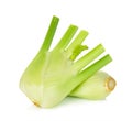 Fresh fennel isolated Royalty Free Stock Photo
