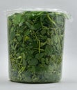 Fresh fenugreek or methi in packing, grocery shopping, daily needs Royalty Free Stock Photo