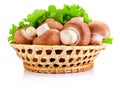 Fresh field mushroom in basket and Leaves of green salad Isolated Royalty Free Stock Photo