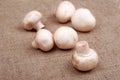 Fresh field mushrooms on a textile Royalty Free Stock Photo