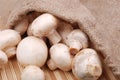 Fresh field mushrooms on a textile Royalty Free Stock Photo