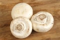 Fresh field mushrooms Royalty Free Stock Photo