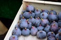 Fresh figs in a box