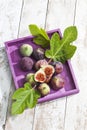 Fresh figs, Ficus carica and leaves, in purple wood tray Royalty Free Stock Photo