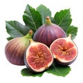 Fresh Figs with Green Leaves Royalty Free Stock Photo