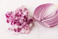 Fresh finely diced red onion