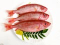 Fresh Finned Bulls eye Fish Priacanthus Hamrur/ Moontail Bullseye Fish,Decorated with Lemon slice and Curry leaves ,white