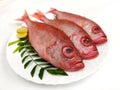 Fresh Finned Bulls eye Fish Priacanthus Hamrur/ Moontail Bullseye Fish,Decorated with Lemon slice and Curry leaves ,white