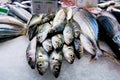 Fresh fish Royalty Free Stock Photo