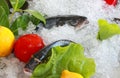 Fresh fish Royalty Free Stock Photo