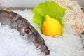 Fresh fish Royalty Free Stock Photo