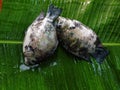 Fresh fish of Ashtamudi lake on a banana leaf Royalty Free Stock Photo