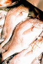 Fresh Fish at an Asian Wet Market Royalty Free Stock Photo