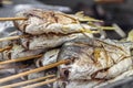 Fresh fish baked on a grill on wooden skewers looks appetizing