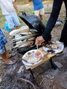 Fresh fish on barbecue picnic party