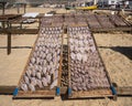 Fresh fish being dried on wire screens on the beach of Nazare, Portugal.