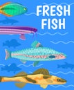 Fresh Fish in Blue Water Color Vector Illustration Royalty Free Stock Photo